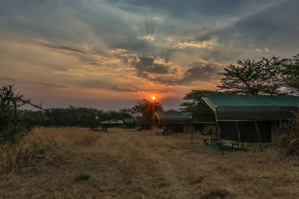 Guest Tent Facilities | Photo Credits - Nasikia Mobile Migration Camp