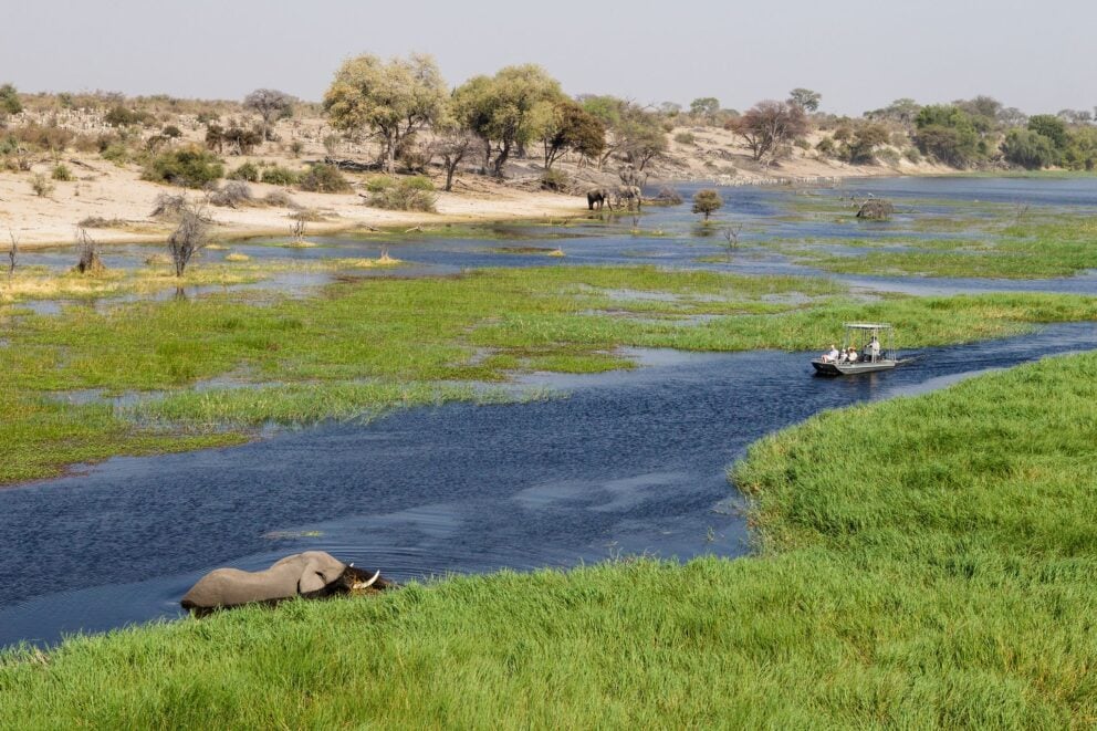 An elephant in the river while tourists in a boat observes from a far at Leroo La Tau, Botswana.