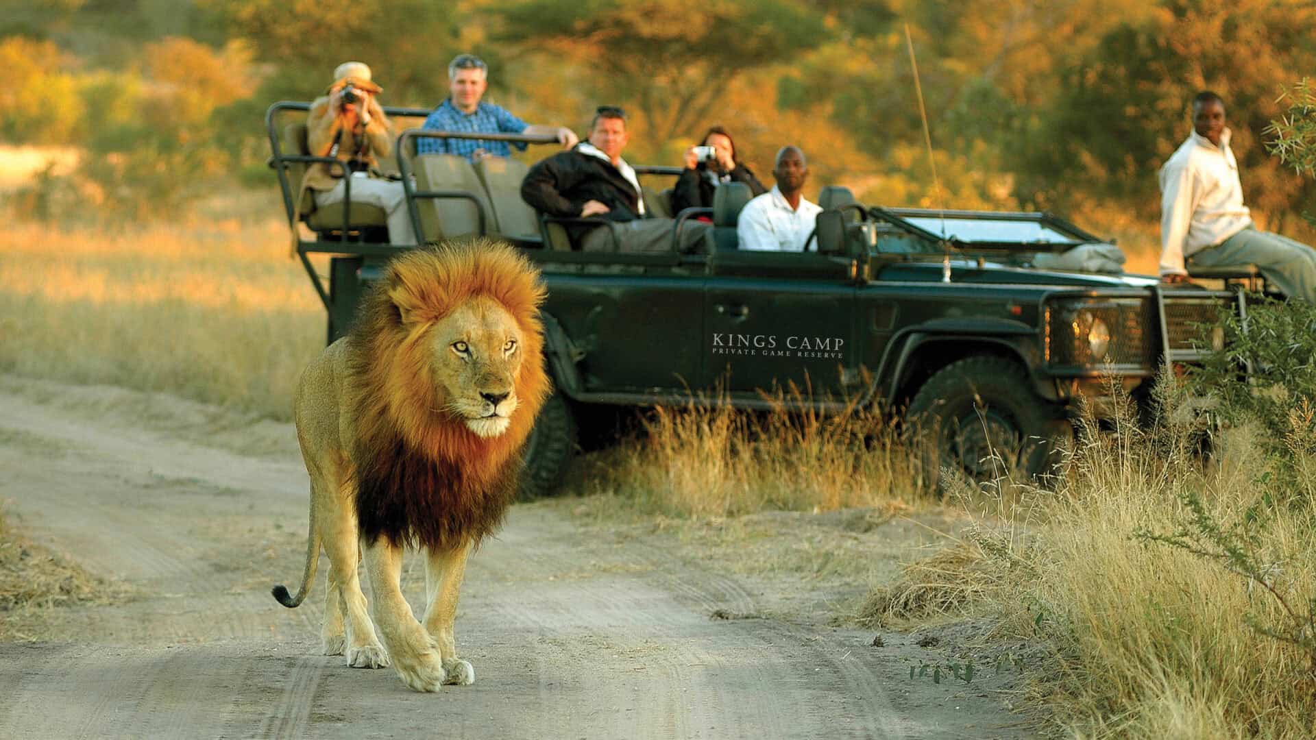 Sabi Sands and Timbavati All Inclusive Safari