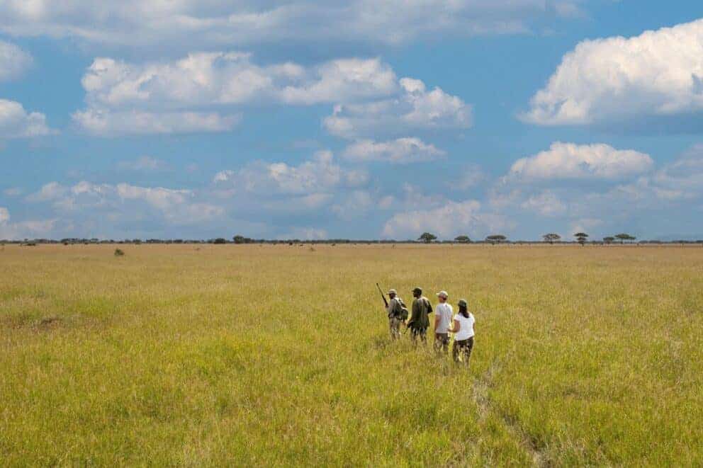 A group of tourists on a guided nature walk at Grumeti Serengeti River Lodge, Tanzania.