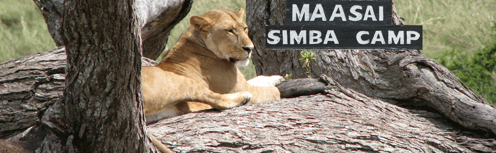 Recommended camps in Chyulu Hills