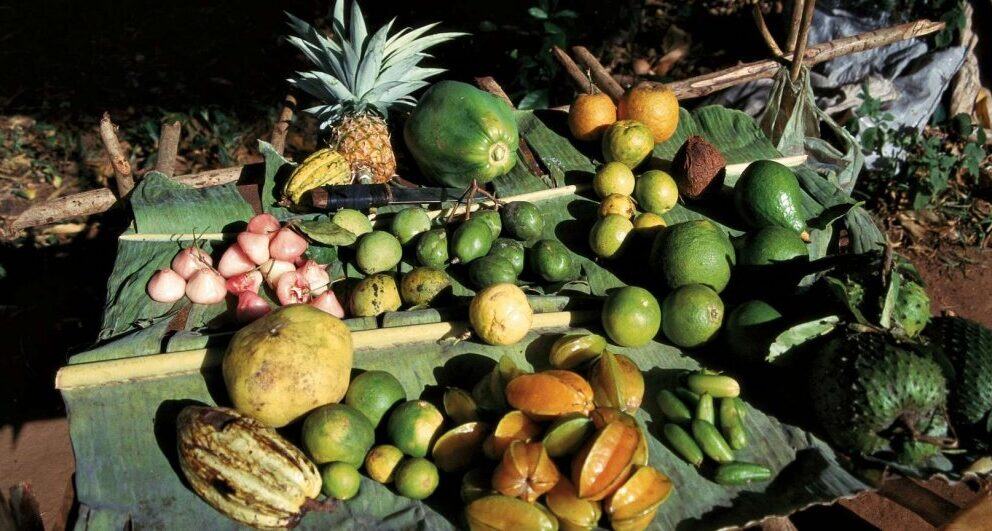 Zanzibar: Africa’s Spice Route