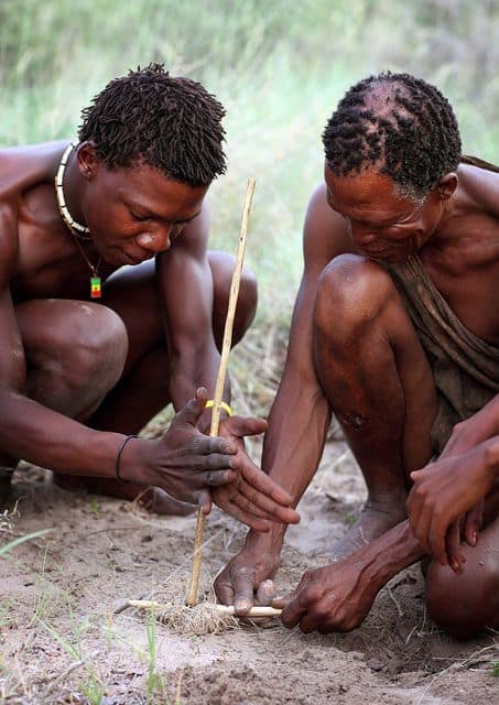 Surprising Eats: Three unusual bushveld foods