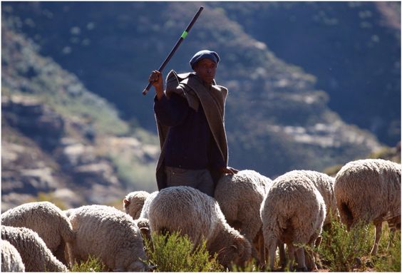 Incredible Lives: The Basotho Shepherds of the Drakensberg