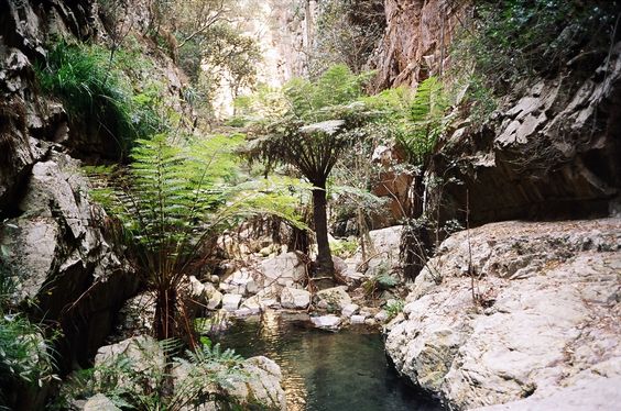 All You Need To Know About World Biosphere Reserves