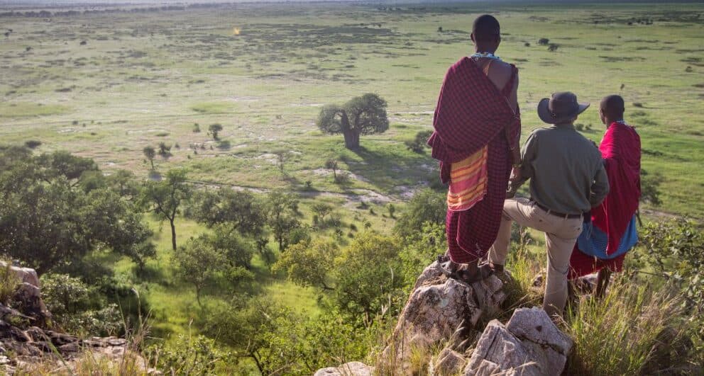 Luxury Lodge of the Week: Elewana Collection’s Tarangire Treetops