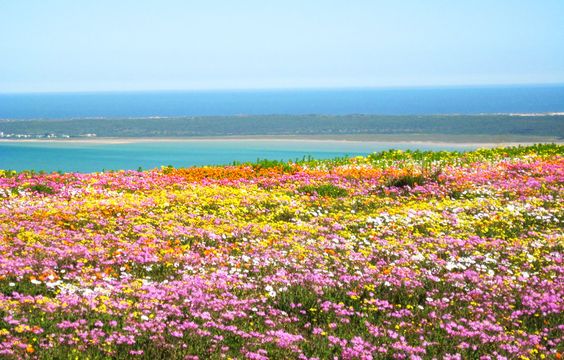 Four thrilling activities to try in the Northern Cape of South Africa