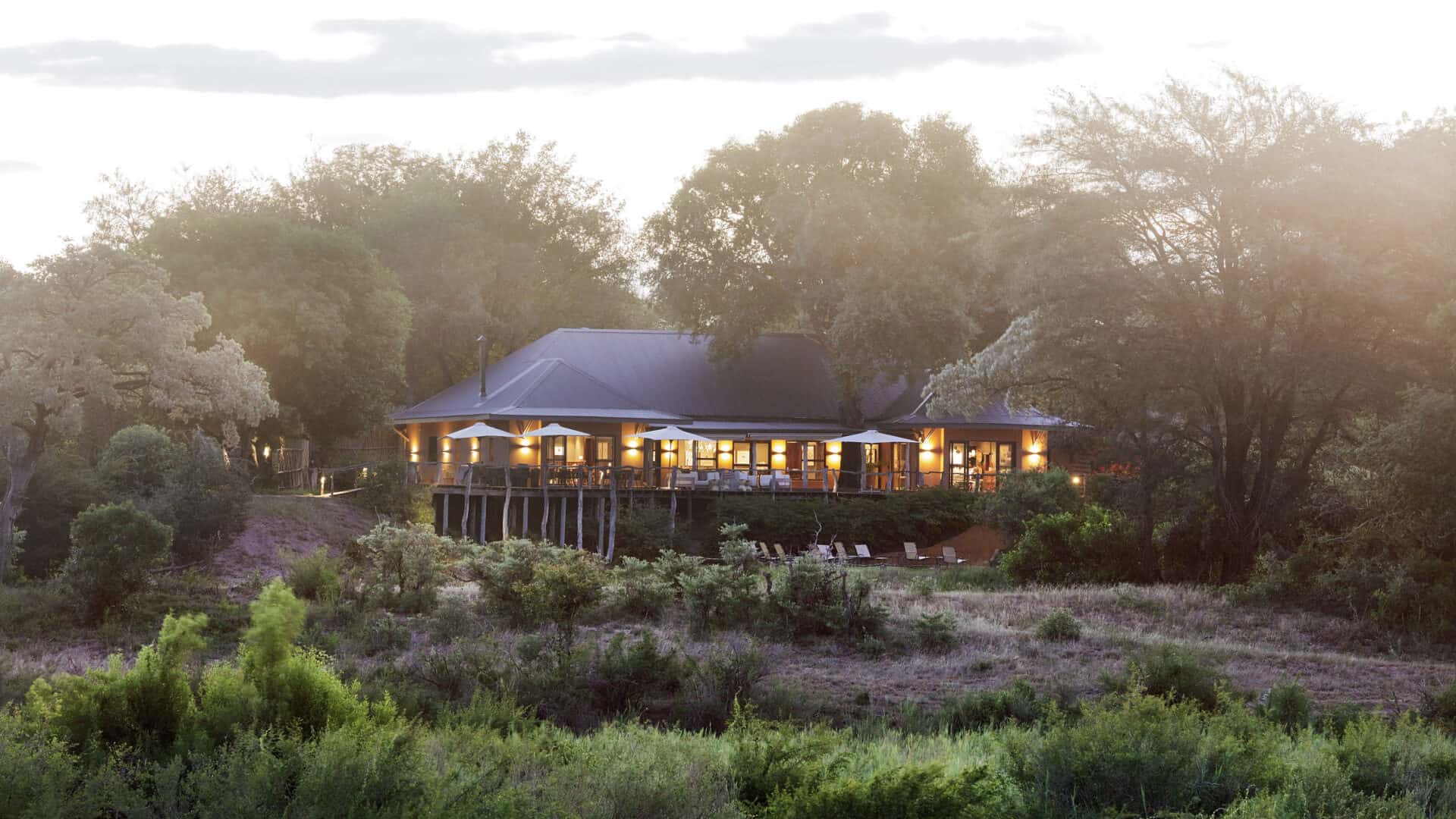 Big Five Safari in Mala Mala