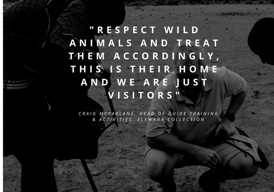 Safari guide of the month: Craig McFarlane