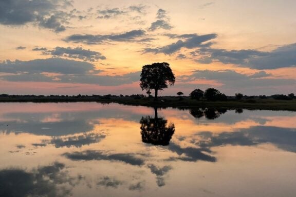 View of the Okavango Delta at sunset on a Botswana Family safari