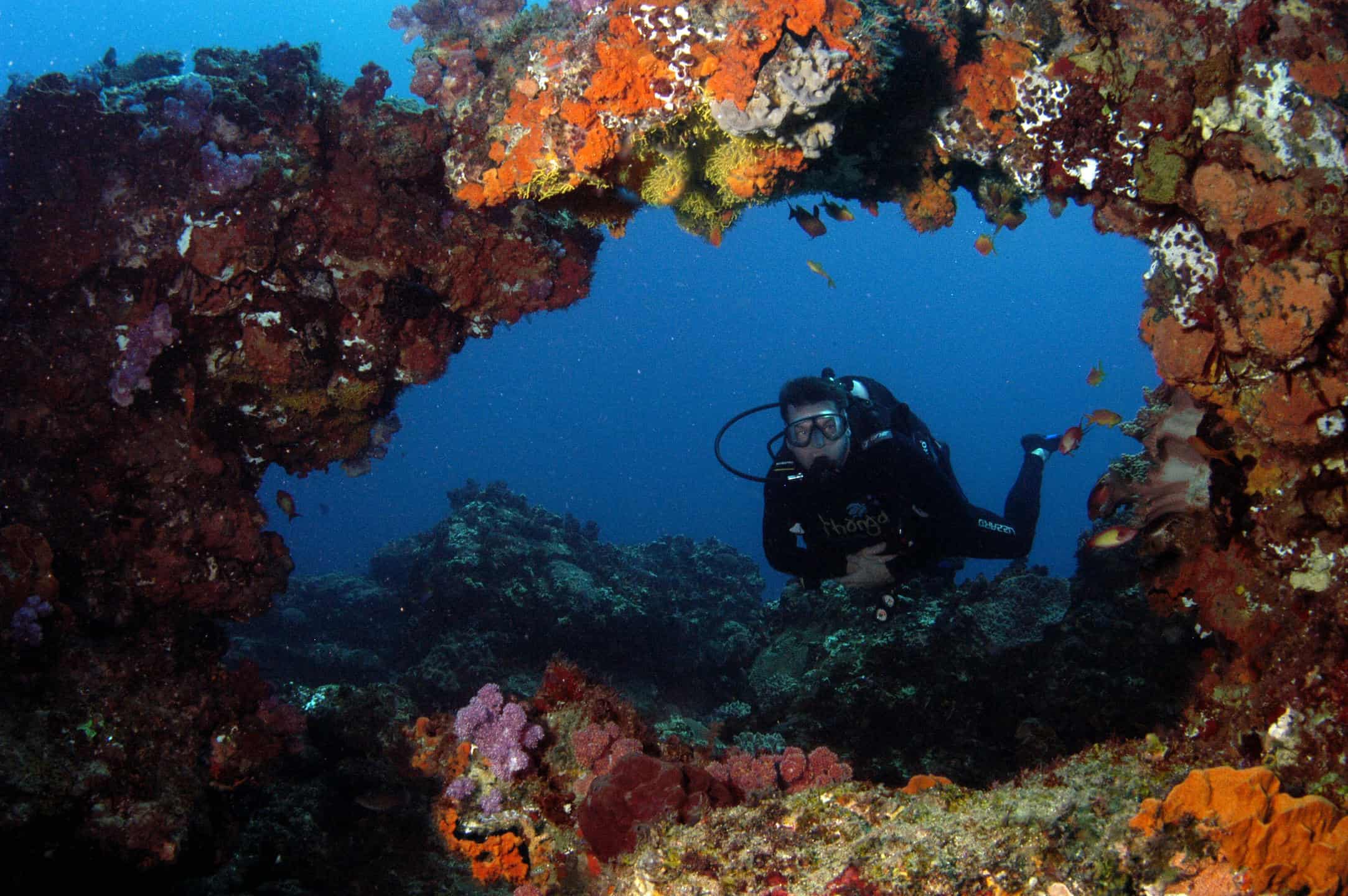 A scuba diver exploring a coral reef at Thonga Beach Lodge, South Africa.