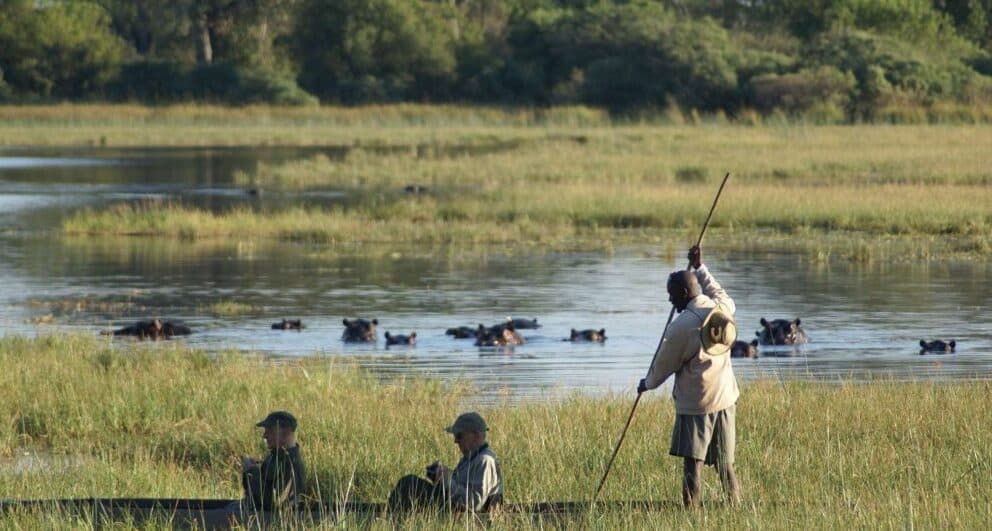 Mokoro rides are a lot of fun and here’s why