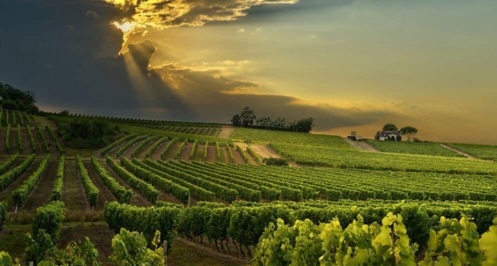 Three autumn getaways in the Western Cape