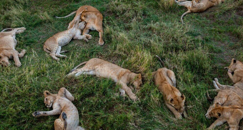 Why return visitors prefer Tanzania’s Southern Circuit