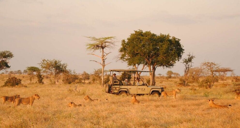Why return visitors prefer Tanzania’s Southern Circuit