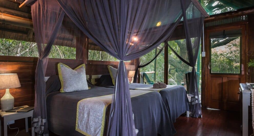 isimangaliso wetland park south africa kosi forest lodge room