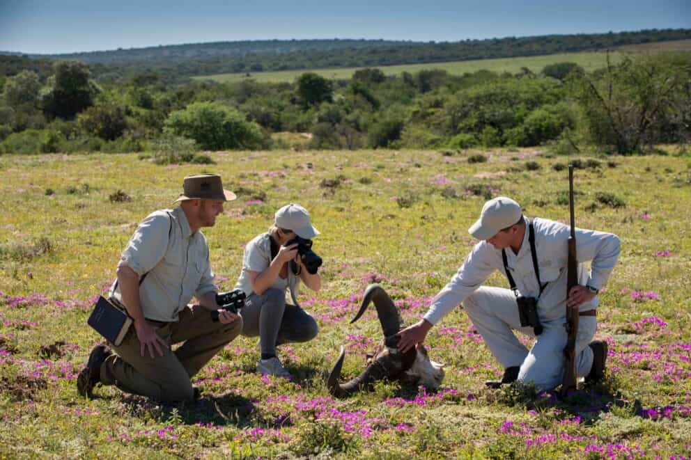 Walking safari in Addo Elephant National Park.