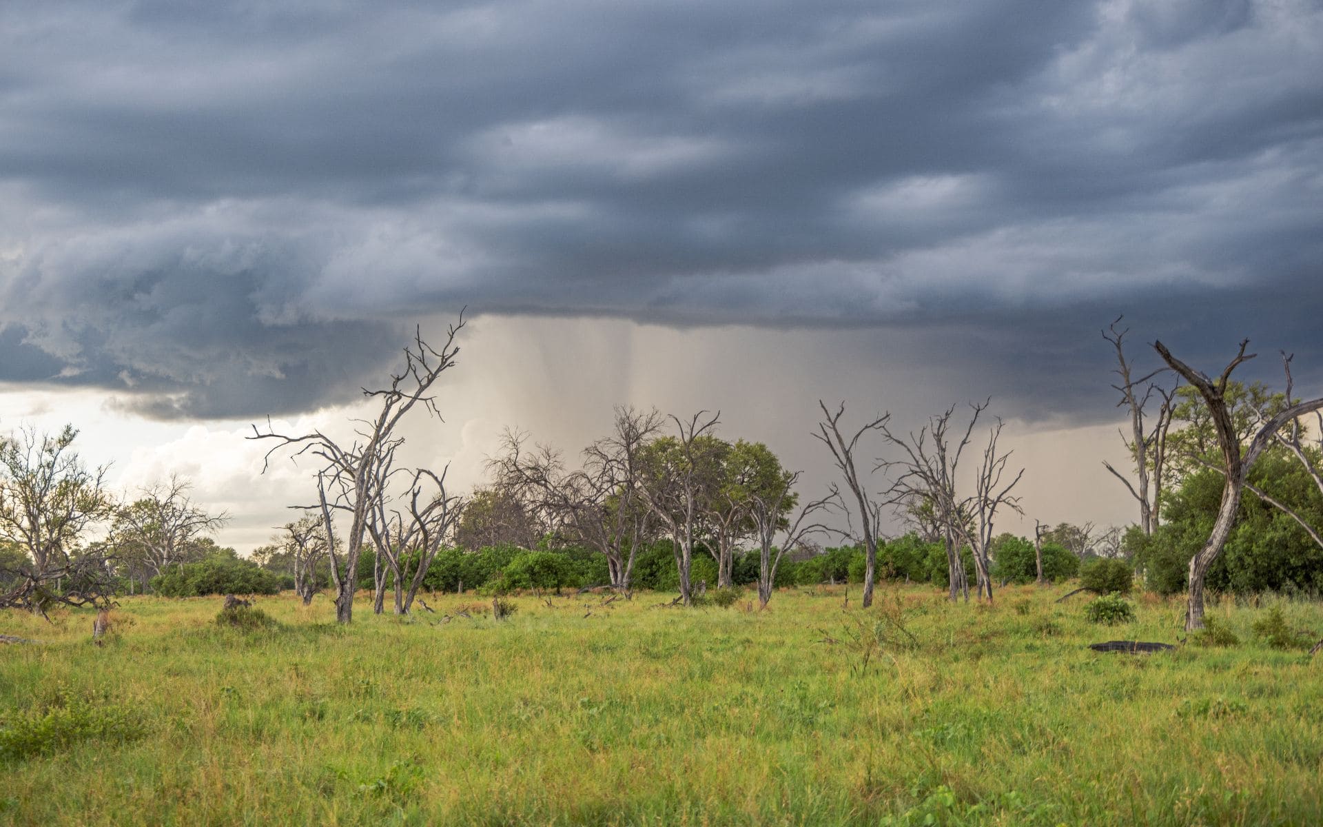 A large rainstorm approaching over the Okavango Delta in Botswana