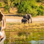 family safari chobe national park botswana
