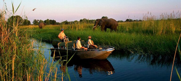 An Adventurous Botswana Wildlife Safari