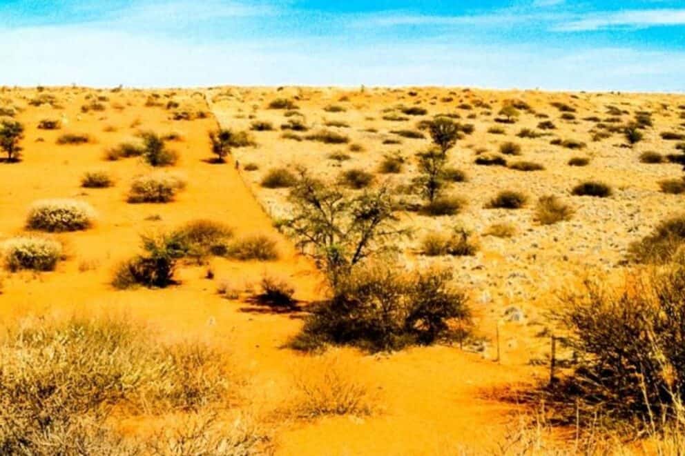 Vast landscape of the Central Kalahari Game Reserve in Botswana.
