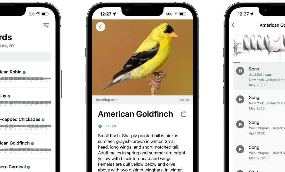 Different screen displays of the Merlin Bird ID app.