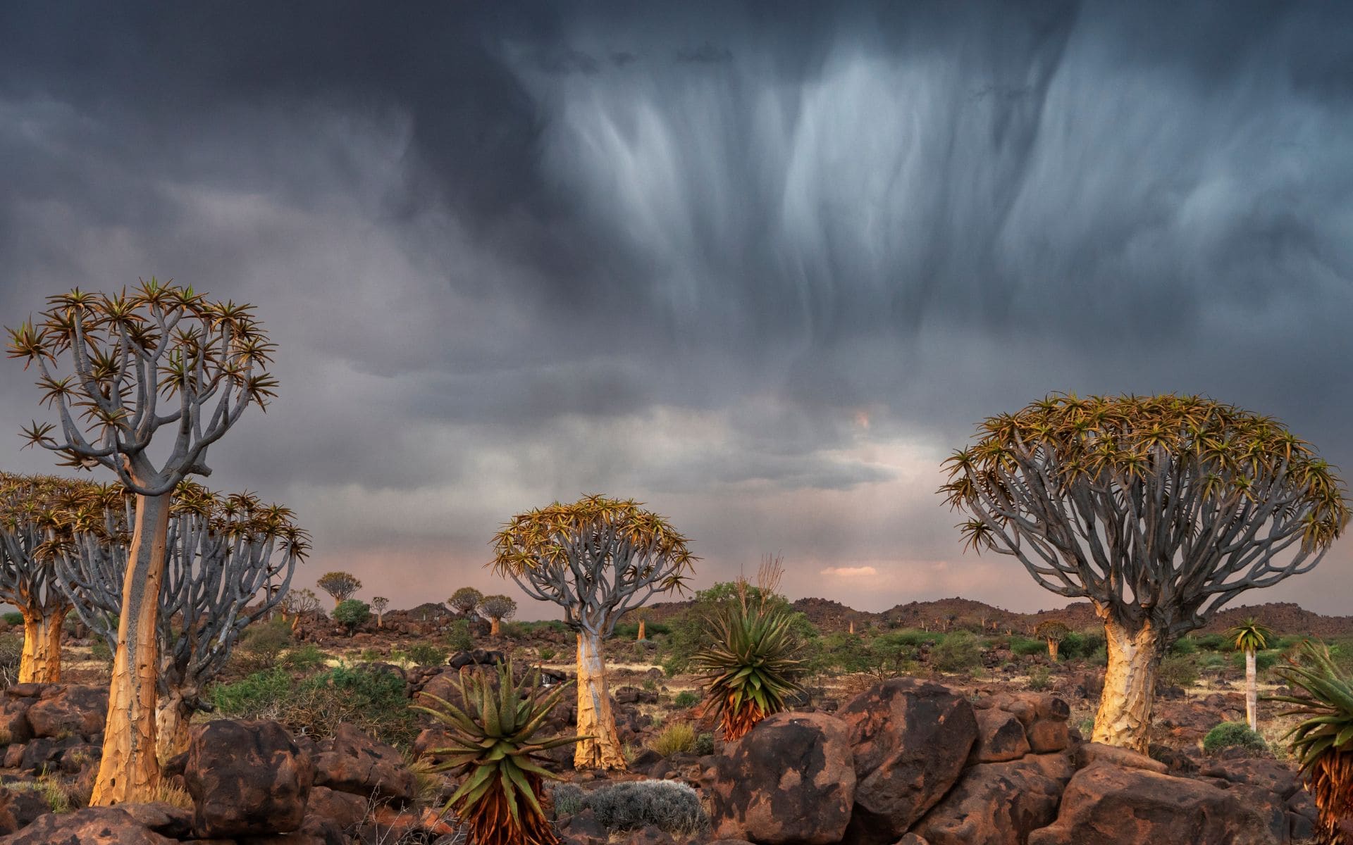 Clouds forming over the Namib Desert