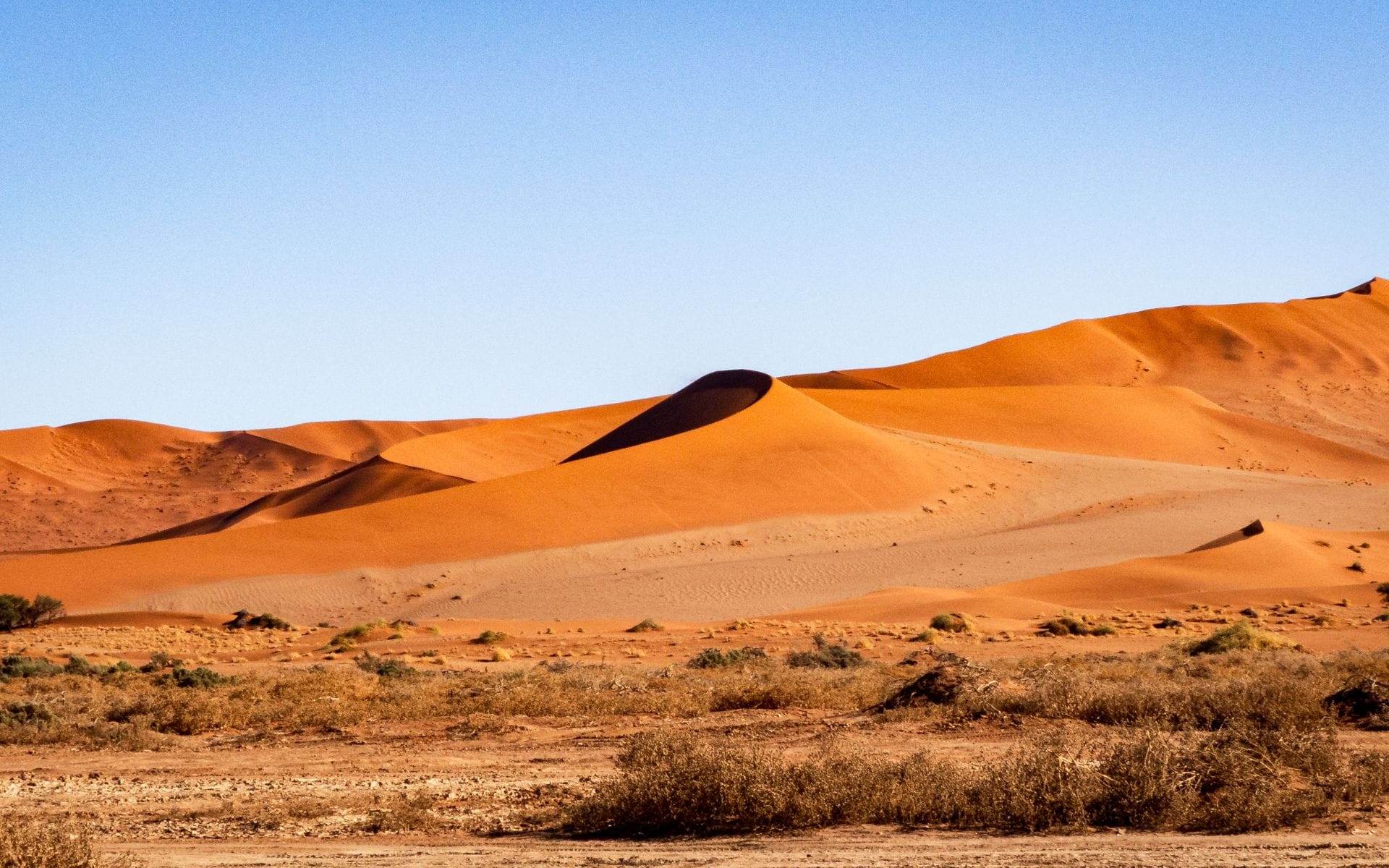 Red sand dunes in Namibia