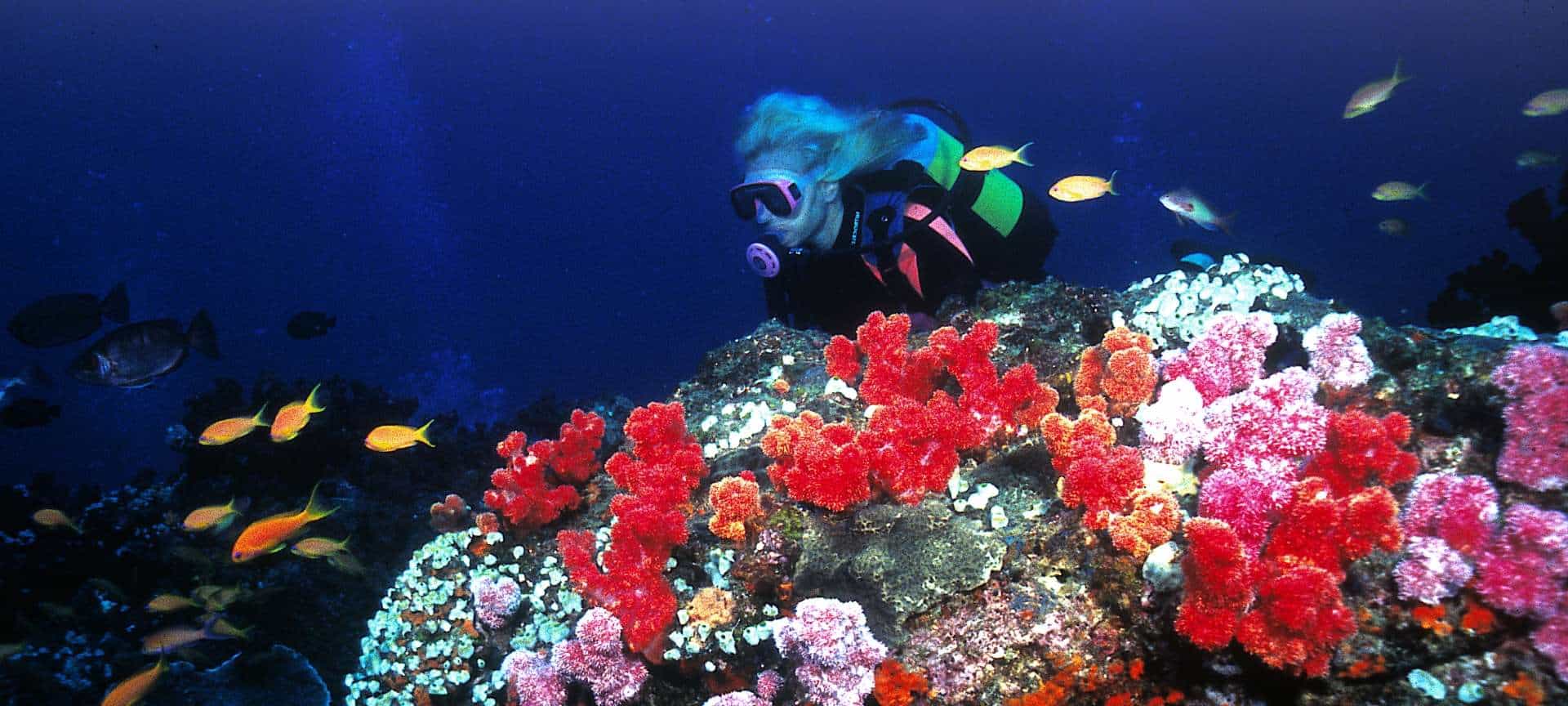 View of a diver snorkelling through a lush coral reef in the sea