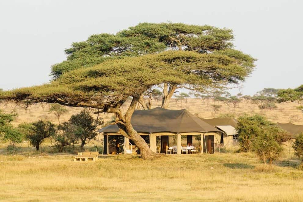 Lodge Of The Month (June 2018): Namiri Plains Camp