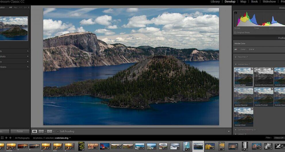 Safari photography: an amateur’s guide to getting your first wildlife shot