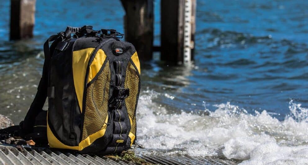 Safari photography: an amateur’s guide to getting your first wildlife shot