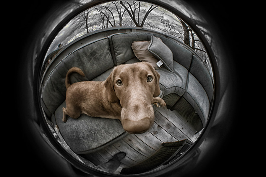 Safari photography: an amateur’s guide to getting your first wildlife shot