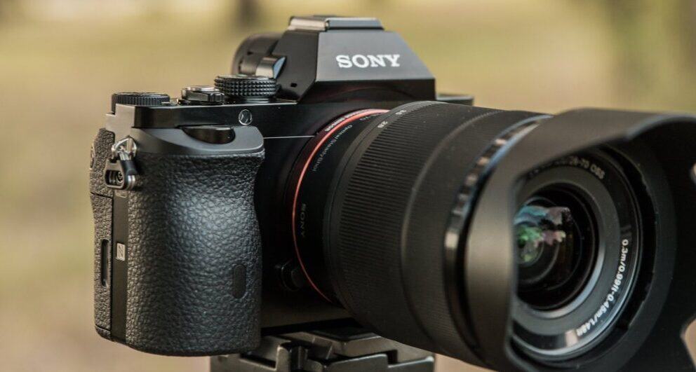 Safari photography: an amateur’s guide to getting your first wildlife shot