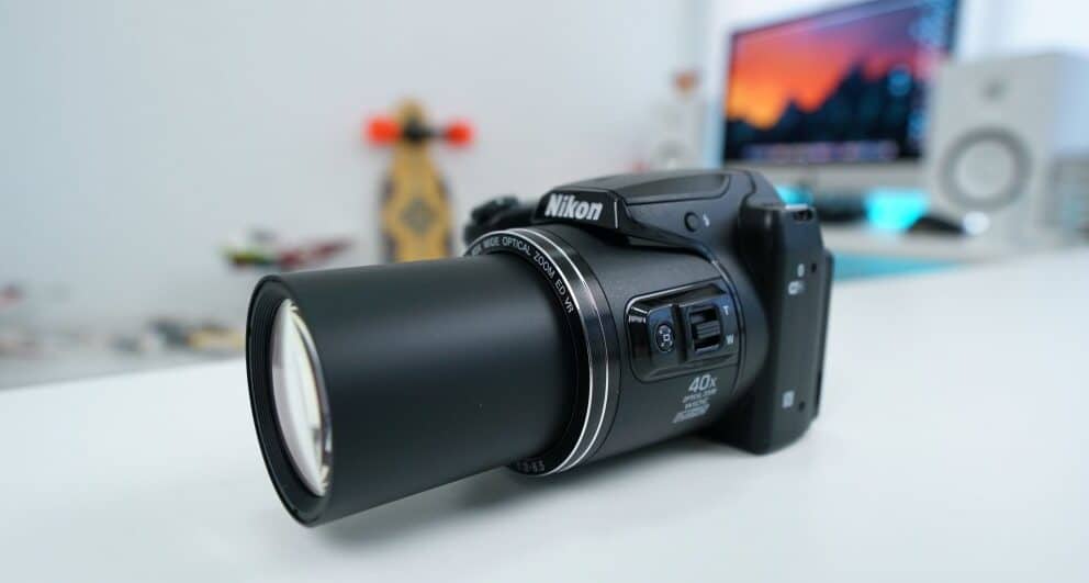 Safari photography: an amateur’s guide to getting your first wildlife shot