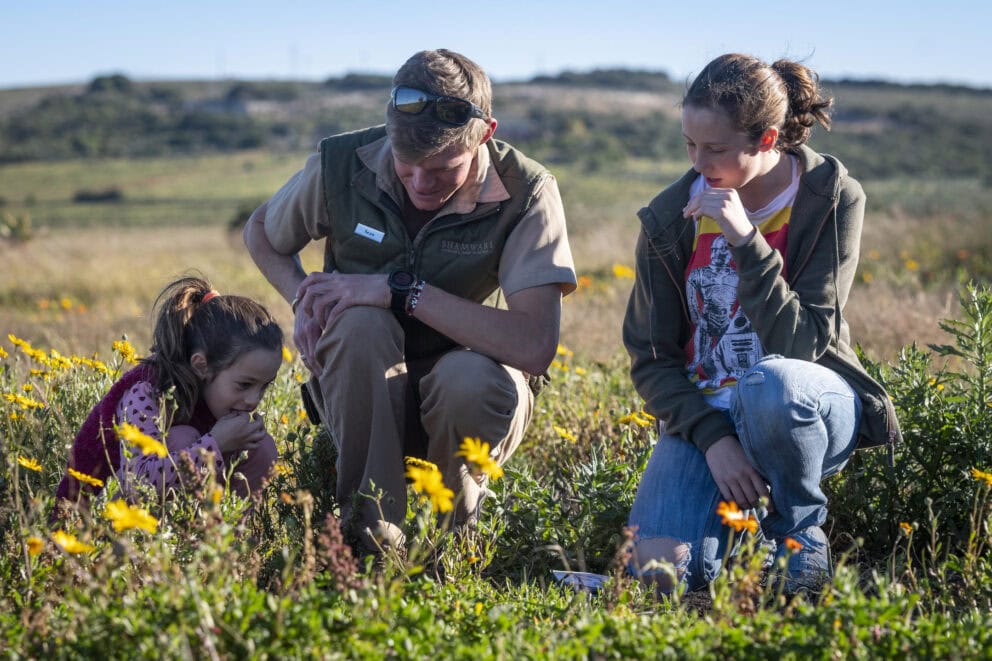 Two adults and a child looking at flowers while on a nature walk