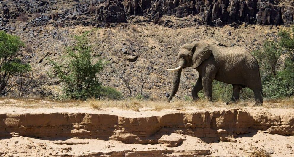 Damaraland dreaming…