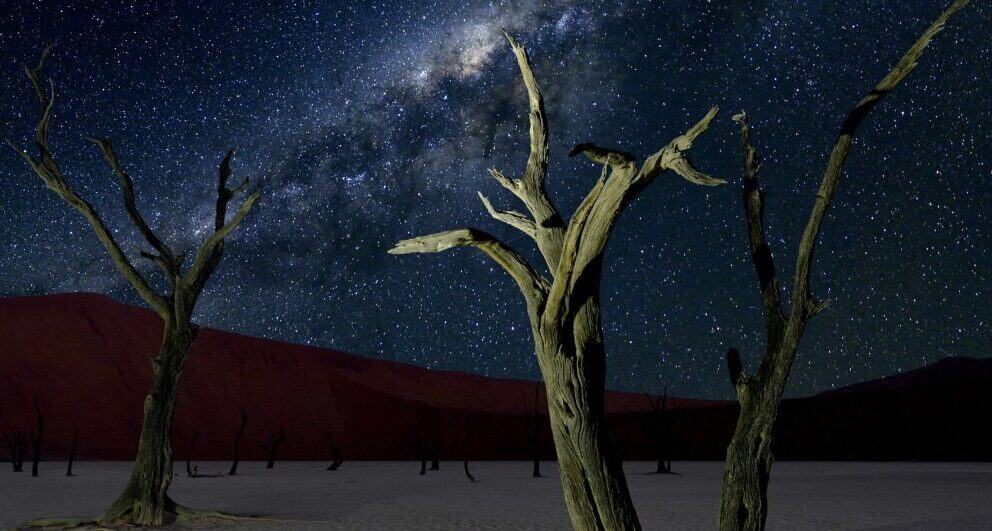 Trees in the desert of Namibia during night time. Photo: Canva