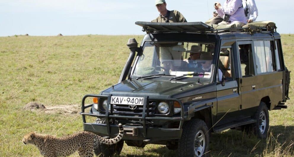 best-safari-lodges-in-kenya