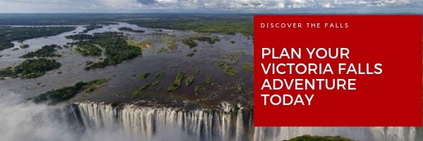 Victoria falls safari