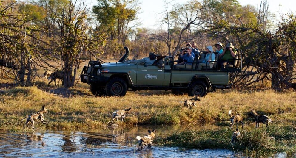 kwando splash camp okavango delta accommodation botswana safari game drive