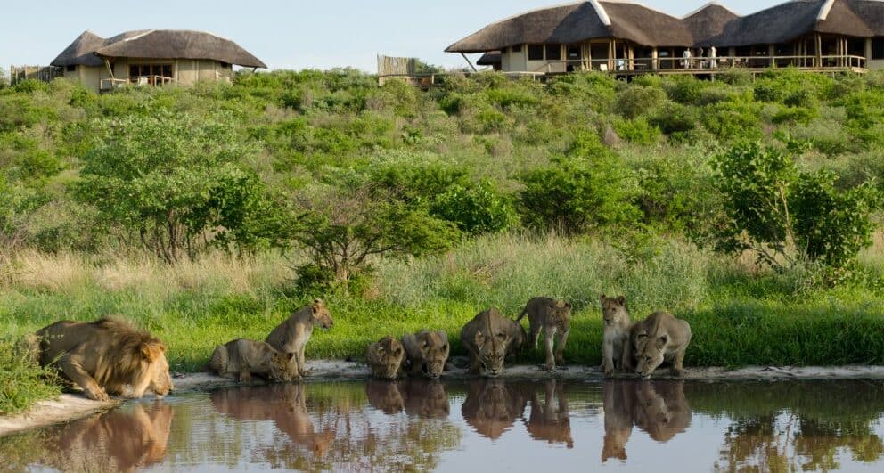 Tau Pan Camp in Botswana | Photo credits: Tau Pan Camp