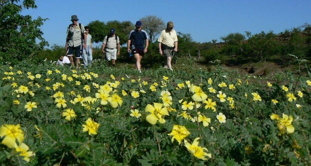 A short guide to Mashatu Game Reserve