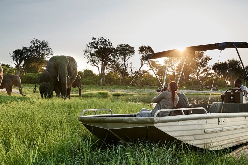 River safari boat approaching a herd of elephants at the riverbank