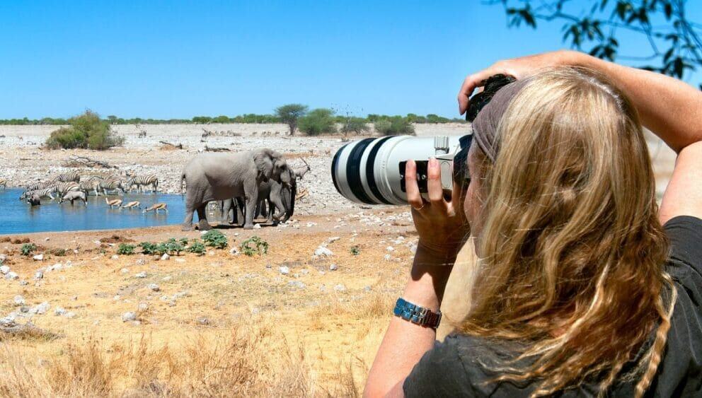 Photographic safaris in Namibia