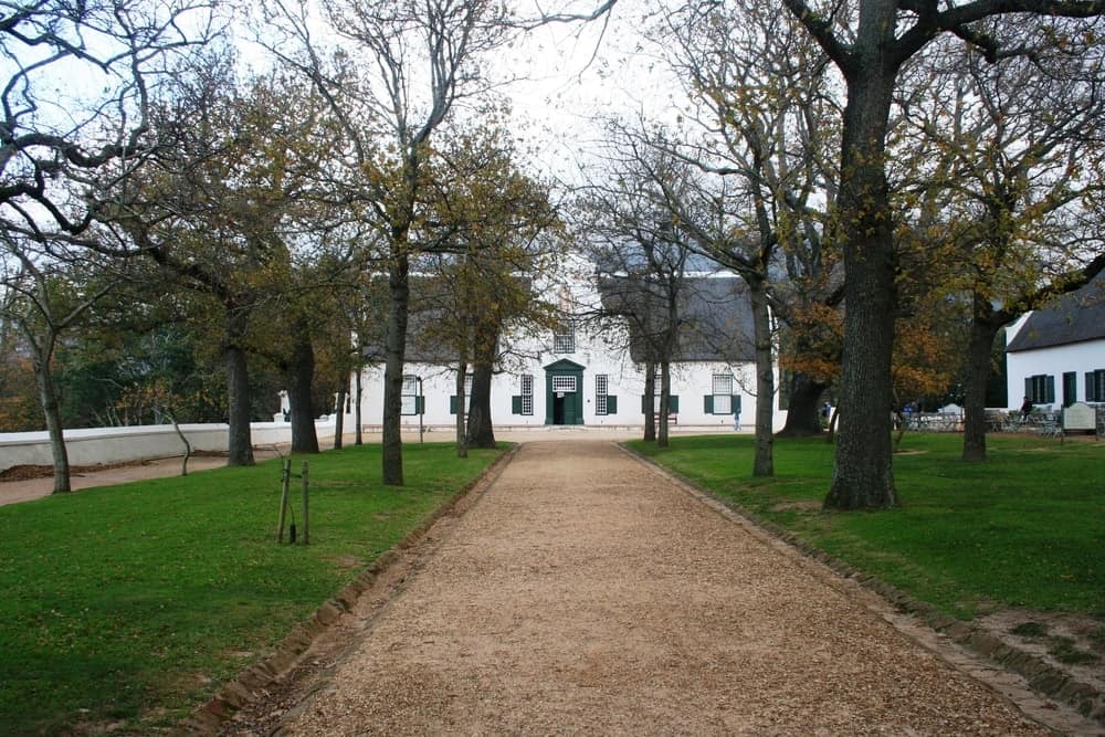 Groot Constantia is one of the cornerstones of winemaking in the Cape region