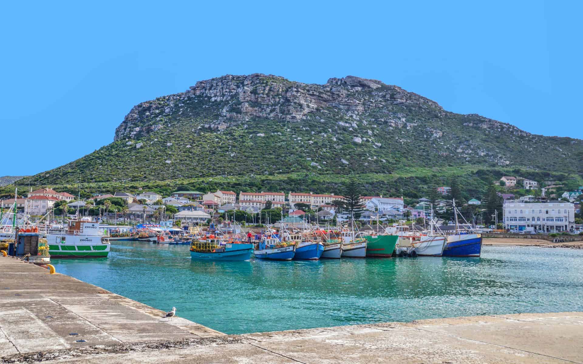 Kalk Bay Harbour in False Bay South Africa