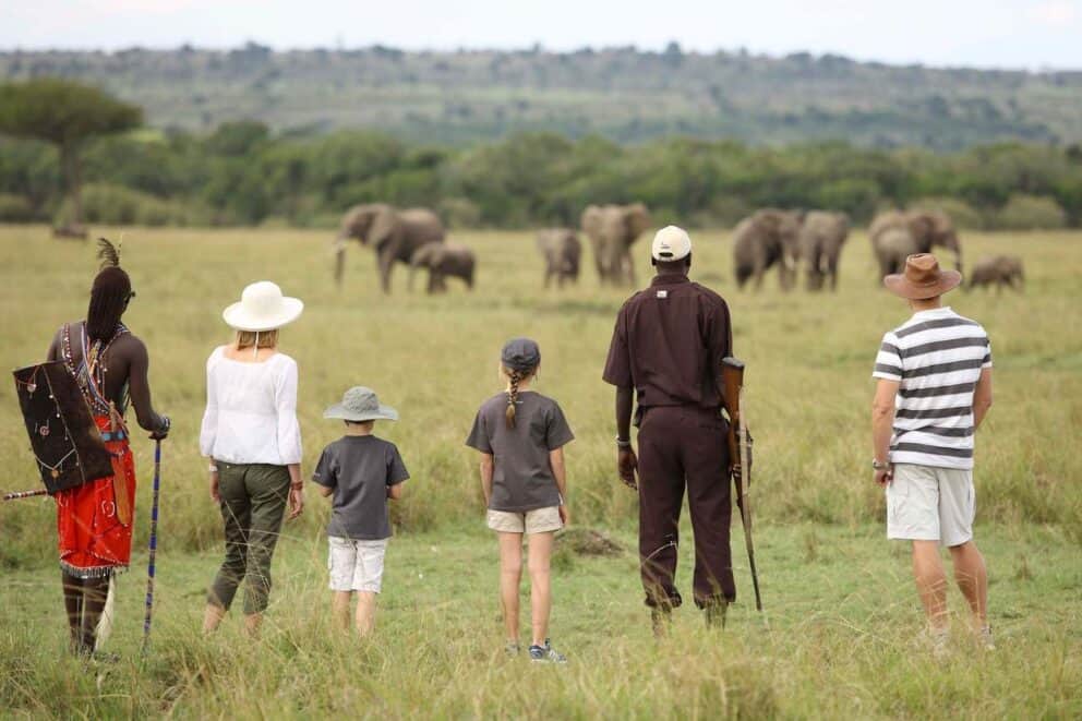 Five Best Serengeti Safari Tours