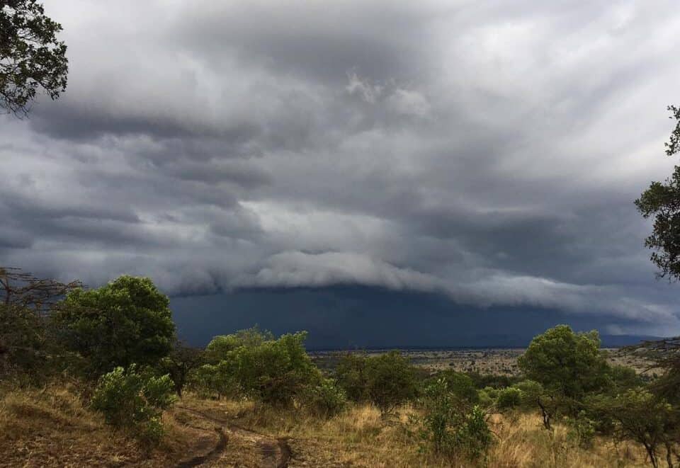masai-mara-migration-safari