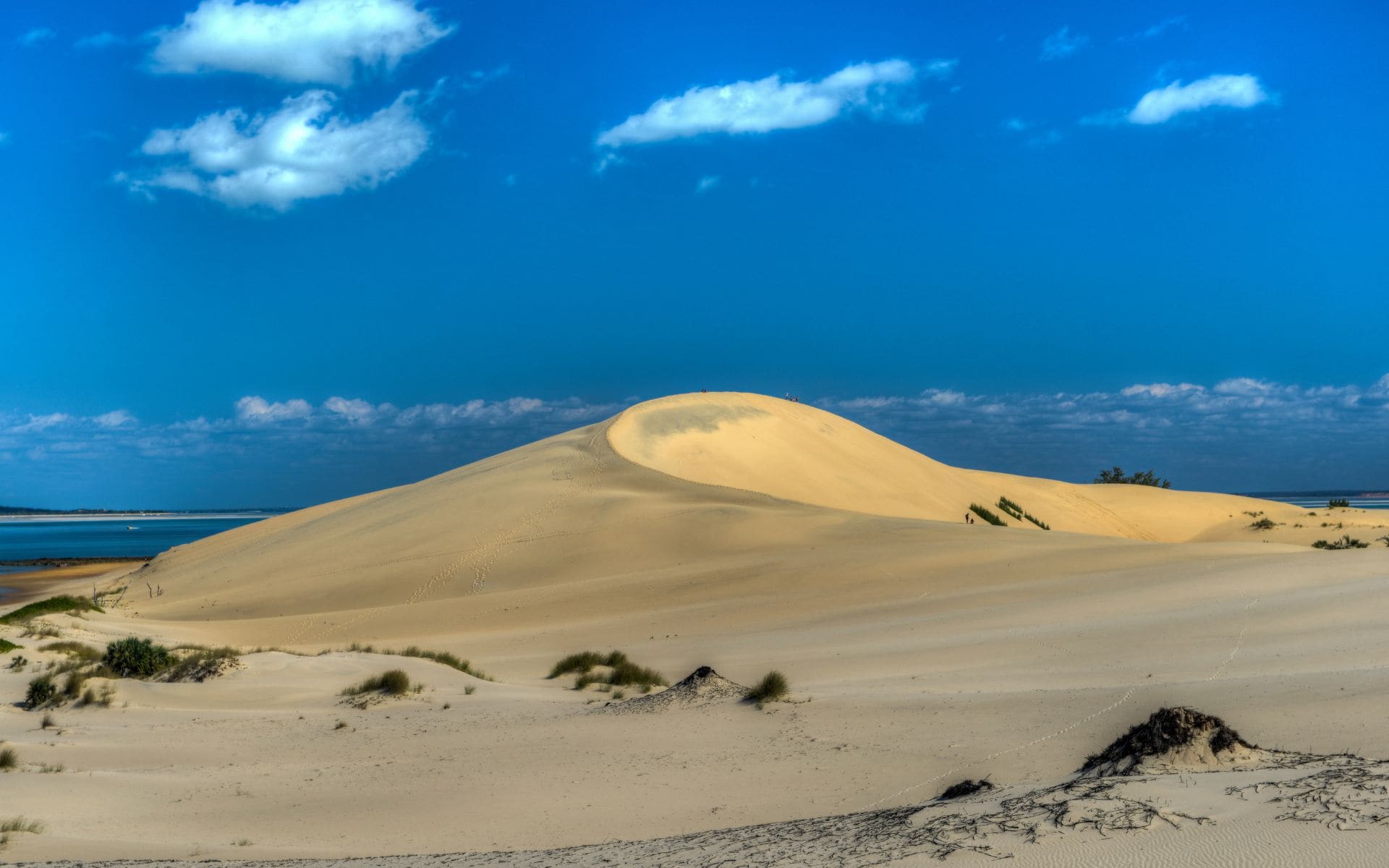 Sand dune on a beach of Bazaruto island, Mozambique